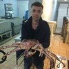 Андрей, 31, г.Фрязино Андрей, 31, г.Фрязино