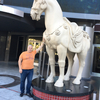 Aidas, 47, г.Друскининкай Aidas, 47, г.Друскининкай