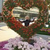Ирина, 65, г.Уссурийск Ирина, 65, г.Уссурийск