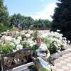 Людмила, 55, г.Королев Людмила, 55, г.Королев