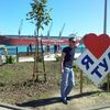 lenur, 42, г.Туапсе lenur, 42, г.Туапсе