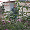 Алексей, 40, г.Урюпинск Алексей, 40, г.Урюпинск