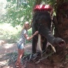 Алена, 24, г.Смоленск Алена, 24, г.Смоленск