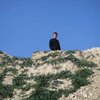 Вадим, 39, г.Тирасполь Вадим, 39, г.Тирасполь