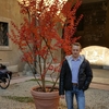alex, 37, г.Болонья alex, 37, г.Болонья