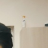 Nurdoolot_, 20, г.Ош Nurdoolot_, 20, г.Ош