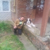 валерий, 52, г.Ожерелье валерий, 52, г.Ожерелье