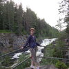 Елена, 49, г.Ярославль Елена, 49, г.Ярославль