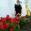 Наталья, 48, г.Мамонтово Наталья, 48, г.Мамонтово