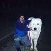 Бека, 29, г.Шымкент Бека, 29, г.Шымкент
