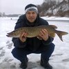 Андрей, 50, г.Псков Андрей, 50, г.Псков