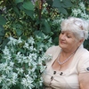Людмила, 61, г.Конотоп Людмила, 61, г.Конотоп