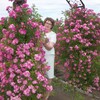 Татьяна, 49, г.Волоконовка Татьяна, 49, г.Волоконовка