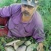 александр, 61, г.Верещагино александр, 61, г.Верещагино