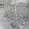 Ленар, 19, г.Елабуга Ленар, 19, г.Елабуга