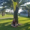 Сергей, 27, г.Рыбинск Сергей, 27, г.Рыбинск