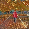 Светлана, 49, г.Кантемировка Светлана, 49, г.Кантемировка