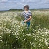 polina badun, 65, г.Кострома polina badun, 65, г.Кострома