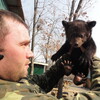 Игорь, 35, г.Южно-Сахалинск Игорь, 35, г.Южно-Сахалинск