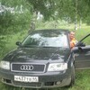 Владимир, 35, г.Кострома Владимир, 35, г.Кострома