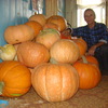 юрий, 52, г.Мариинский Посад юрий, 52, г.Мариинский Посад
