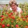 Вера, 61, г.Бердичев Вера, 61, г.Бердичев
