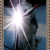 dmitri, 33, г.Харовск dmitri, 33, г.Харовск