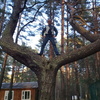 Валерий, 36, г.Нижнеудинск Валерий, 36, г.Нижнеудинск