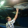 Владимир, 48, г.Ленгерих Владимир, 48, г.Ленгерих