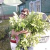ОЛЬГА, 49, г.Мордово ОЛЬГА, 49, г.Мордово
