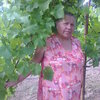 валентина, 66, г.Николаев валентина, 66, г.Николаев