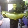 Артём, 36, г.Кильдинстрой Артём, 36, г.Кильдинстрой