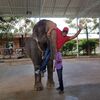 Андрей, 44, г.Борисполь Андрей, 44, г.Борисполь