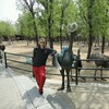 Sergei, 38, г.Сеул Sergei, 38, г.Сеул