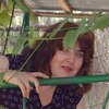 Юлия, 62, г.Хуст Юлия, 62, г.Хуст