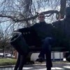 Андрей, 28, г.Вязьма Андрей, 28, г.Вязьма