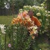 vlad, 59, г.Ступино vlad, 59, г.Ступино
