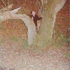 Боря, 30, г.Оржица Боря, 30, г.Оржица