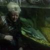 светлана, 54, г.Красный Луч светлана, 54, г.Красный Луч