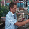 Андрей, 55, г.Волосово Андрей, 55, г.Волосово