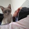 Bogdan, 46, г.Рим Bogdan, 46, г.Рим