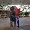Андрей, 44, г.Борисполь Андрей, 44, г.Борисполь