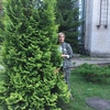 светлана, 50, г.Волхов светлана, 50, г.Волхов