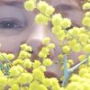 Елена, 43, г.Краматорск Елена, 43, г.Краматорск