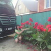 Наталья, 38, г.Камышлов Наталья, 38, г.Камышлов