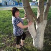 ЕКАТЕРИНА, 28, г.Рассказово ЕКАТЕРИНА, 28, г.Рассказово