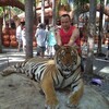 Виктор, 37, г.Наро-Фоминск Виктор, 37, г.Наро-Фоминск