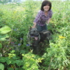 Sandra, 59, г.Харьков Sandra, 59, г.Харьков