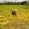 Татьяна, 52, г.Гродно Татьяна, 52, г.Гродно