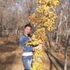 Нина, 34, г.Астана Нина, 34, г.Астана